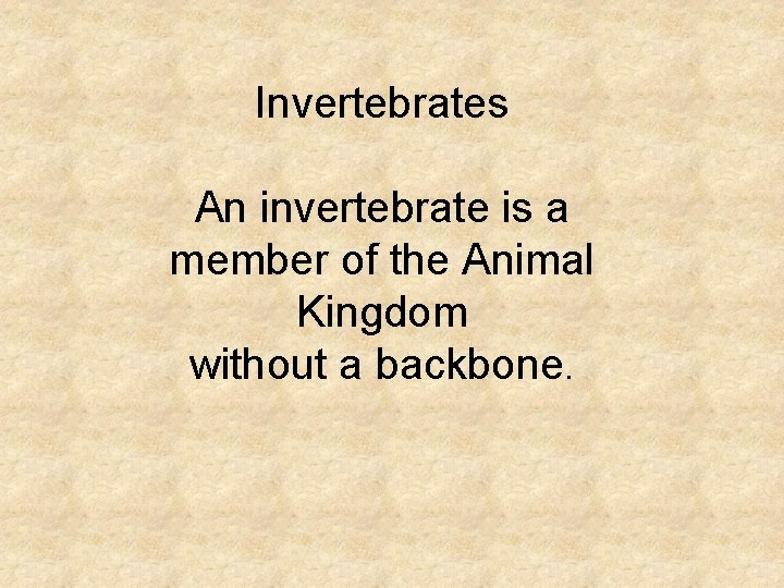 Invertebrates An invertebrate is a member of the Animal Kingdom without a backbone. 