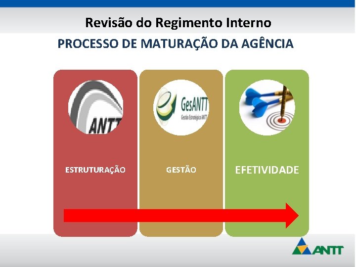 Revisão do Regimento Interno PROCESSO DE MATURAÇÃO DA AGÊNCIA ESTRUTURAÇÃO GESTÃO EFETIVIDADE 