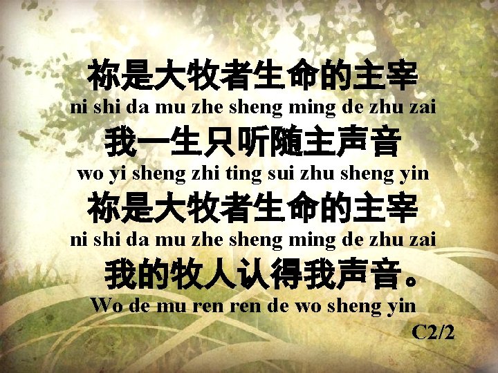 祢是大牧者生命的主宰 ni shi da mu zhe sheng ming de zhu zai 我一生只听随主声音 wo yi