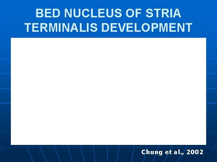 BED NUCLEUS OF STRIA TERMINALIS DEVELOPMENT Chung et al. , 2002 BED NUCLEUS OF STRIA TERMINALIS DEVELOPMENT Chung et al. , 2002
