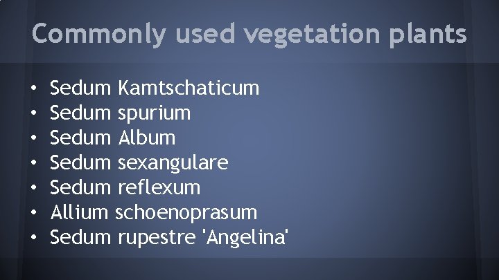 Commonly used vegetation plants • • Sedum Kamtschaticum Sedum spurium Sedum Album Sedum sexangulare