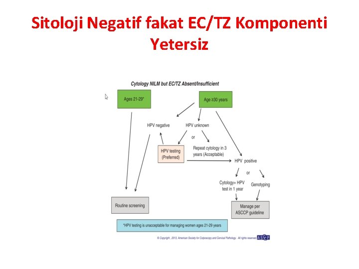 Sitoloji Negatif fakat EC/TZ Komponenti Yetersiz 