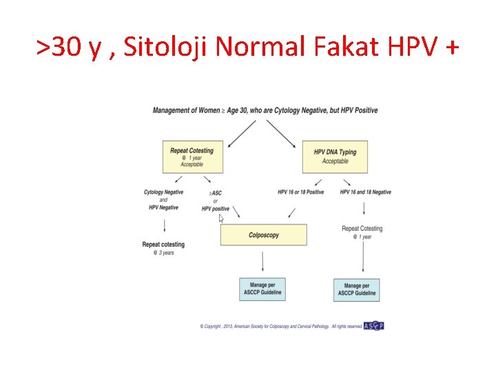 >30 y , Sitoloji Normal Fakat HPV + 