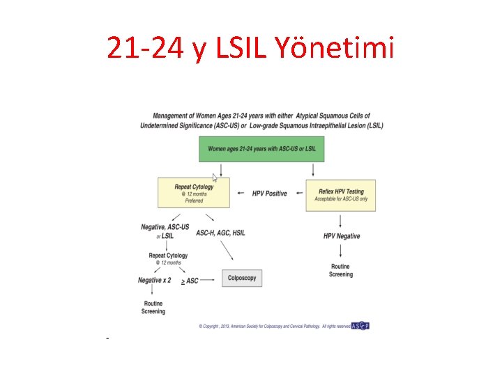21 -24 y LSIL Yönetimi 