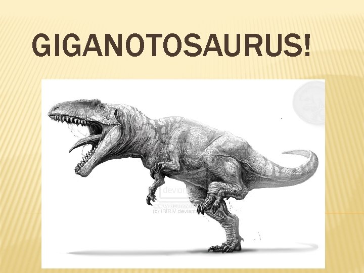 GIGANOTOSAURUS! 