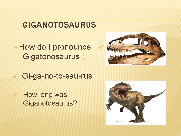 GIGANOTOSAURUS üHow do I pronounce ü 1. 53 or 1. 8 m. Gigatonosaurus ;