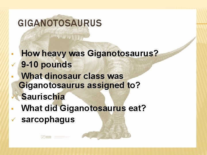 GIGANOTOSAURUS § ü § ü How heavy was Giganotosaurus? 9 -10 pounds What dinosaur