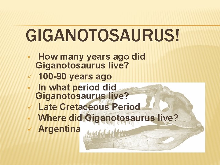 GIGANOTOSAURUS! § ü § ü How many years ago did Giganotosaurus live? 100 -90