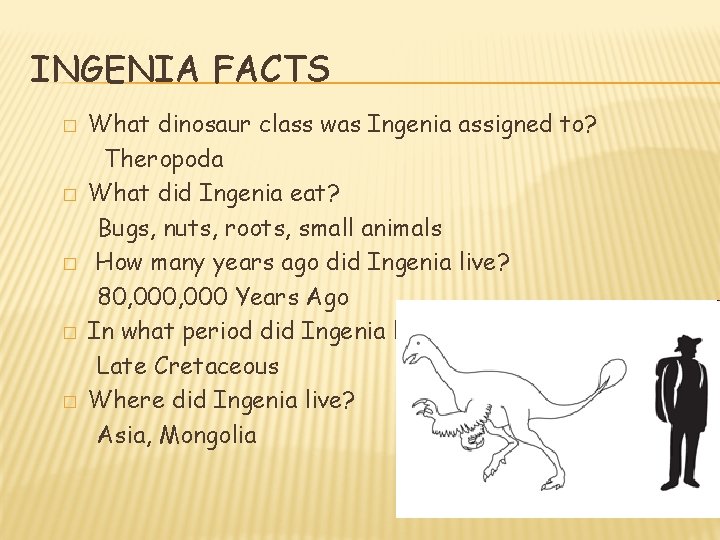 INGENIA FACTS � � � What dinosaur class was Ingenia assigned to? Theropoda What