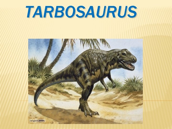 TARBOSAURUS 