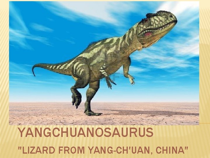 YANGCHUANOSAURUS "LIZARD FROM YANG-CH'UAN, CHINA" 