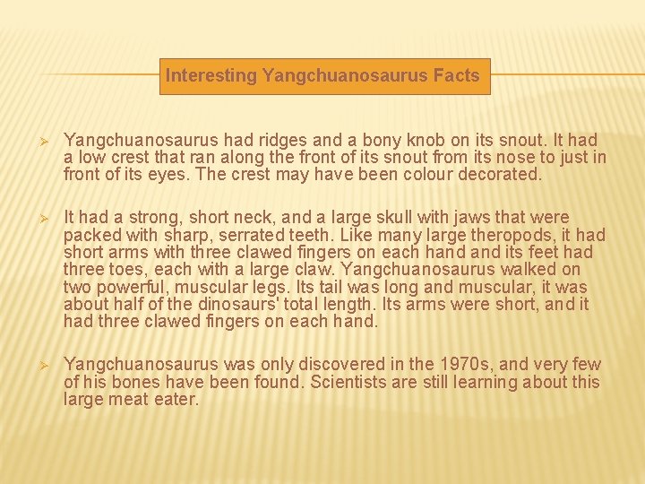 Interesting Yangchuanosaurus Facts Ø Yangchuanosaurus had ridges and a bony knob on its snout.