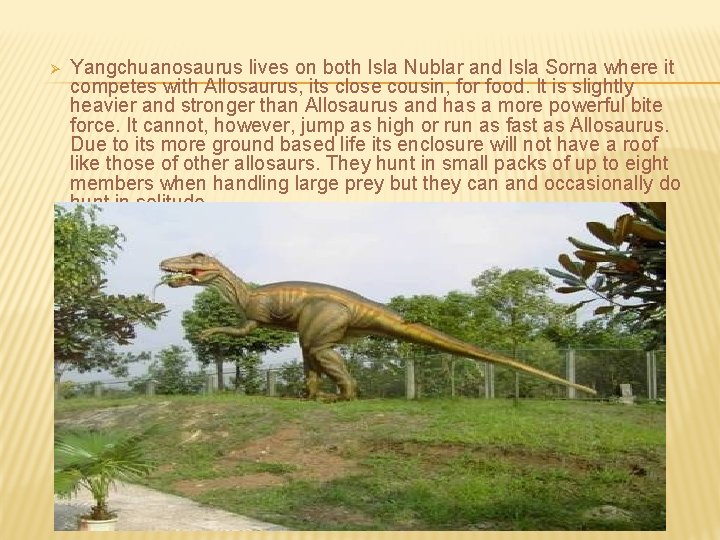 Ø Yangchuanosaurus lives on both Isla Nublar and Isla Sorna where it competes with