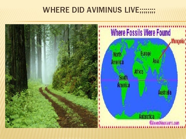 WHERE DID AVIMINUS LIVE; ; ; ; 