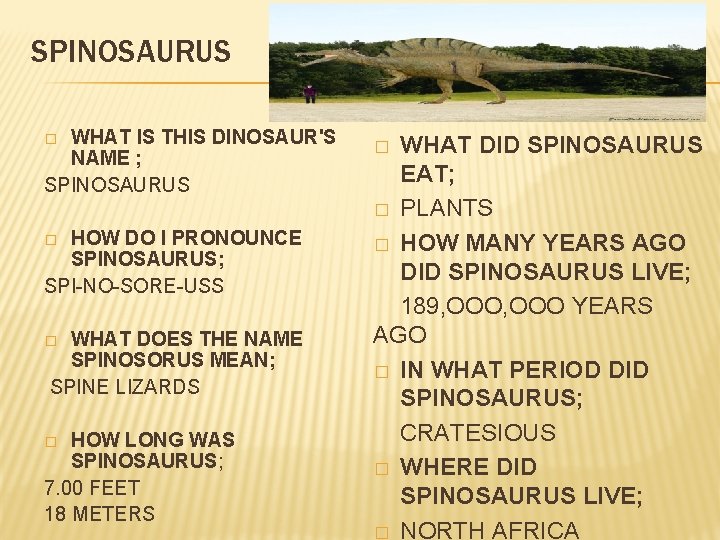 SPINOSAURUS WHAT IS THIS DINOSAUR'S NAME ; SPINOSAURUS � HOW DO I PRONOUNCE SPINOSAURUS;