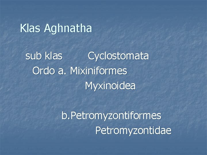 Klas Aghnatha sub klas Cyclostomata Ordo a. Mixiniformes Myxinoidea b. Petromyzontiformes Petromyzontidae 