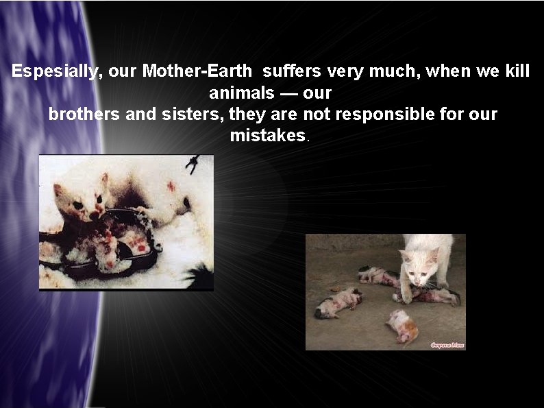 Espesially, our Mother-Earth suffers very much, when we kill animals — our brothers and