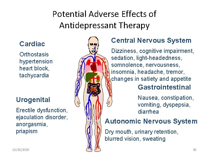 Potential Adverse Effects of Antidepressant Therapy Cardiac Orthostasis hypertension heart block, tachycardia Central Nervous