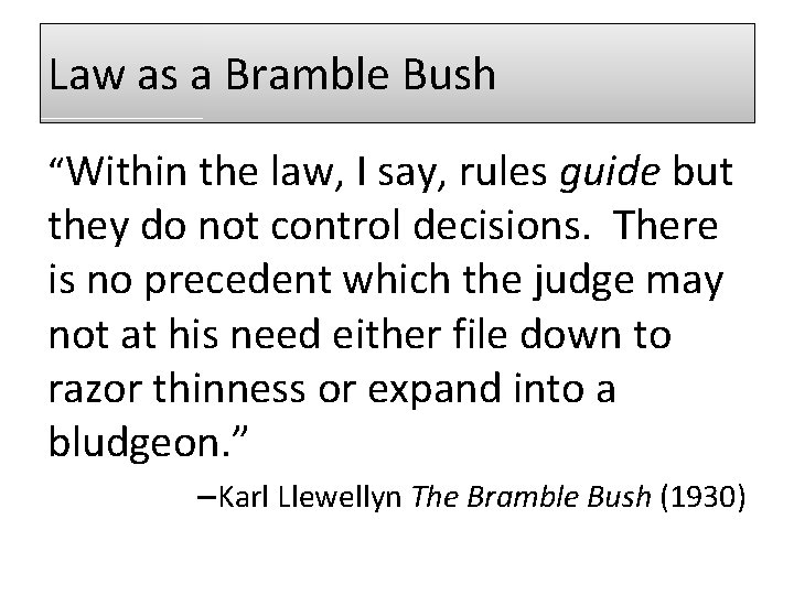 Law as a Bramble Bush “Within the law, I say, rules guide but they