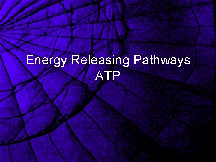 Energy Releasing Pathways ATP 