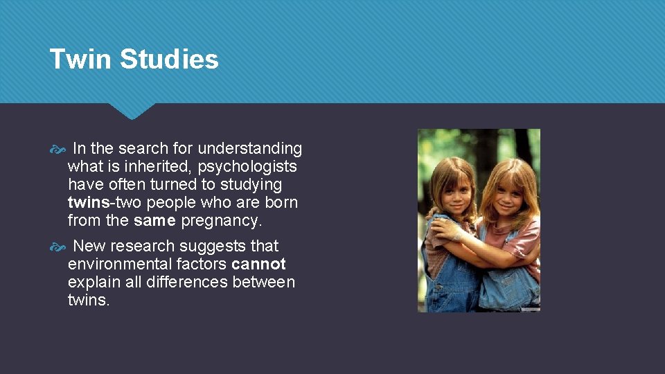 Twin Studies In the search for understanding what is inherited, psychologists have often turned