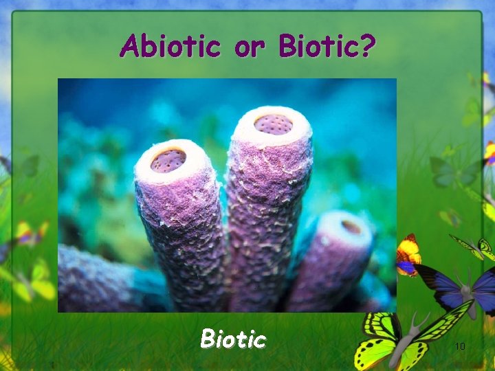 Abiotic or Biotic? Biotic 10 