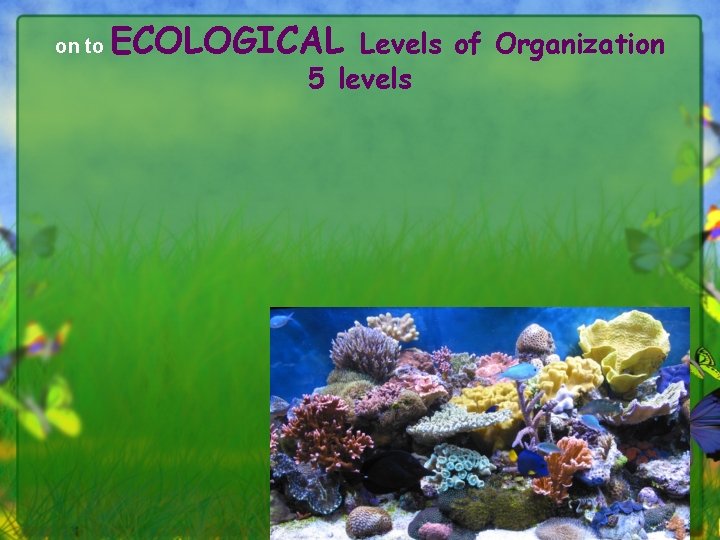 on to ECOLOGICAL Levels of Organization 5 levels 13 