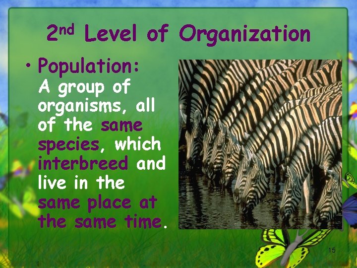 2 nd Level of Organization • Population: A group of organisms, all of the