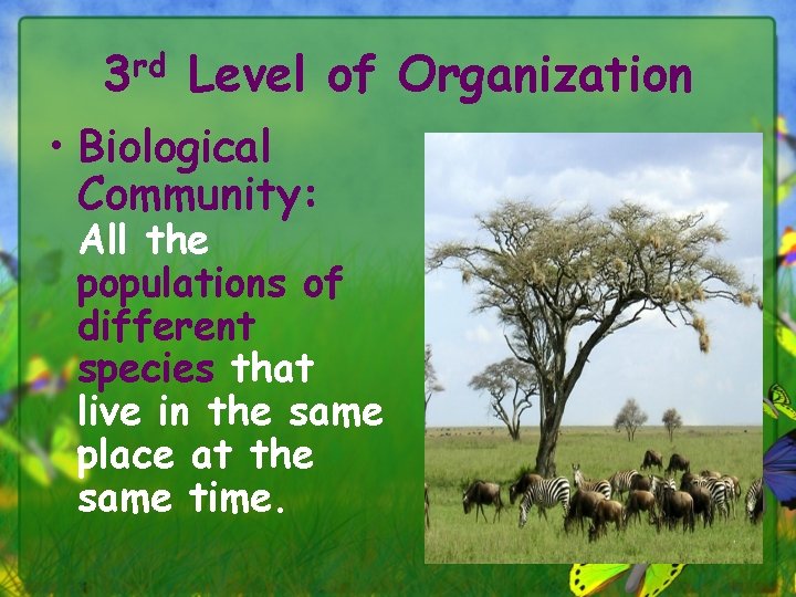 3 rd Level of Organization • Biological Community: All the populations of different species