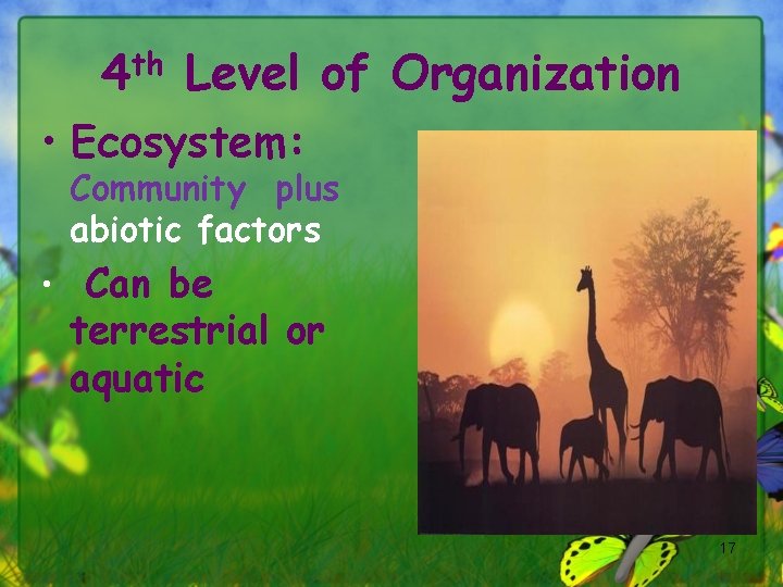 4 th Level of Organization • Ecosystem: Community plus abiotic factors • Can be