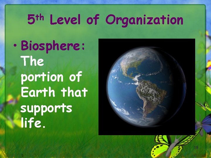 5 th Level of Organization • Biosphere: The portion of Earth that supports life.