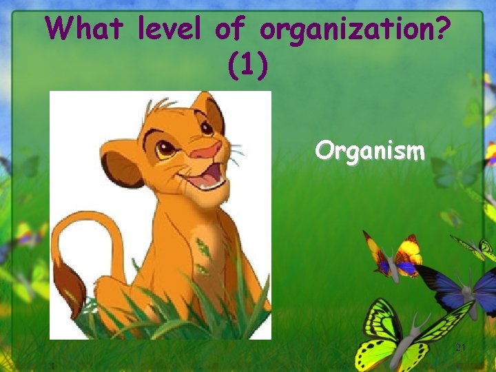 What level of organization? (1) Organism 21 
