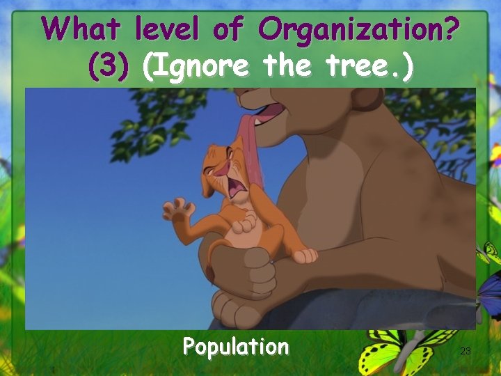 What level of Organization? (3) (Ignore the tree. ) Population 23 