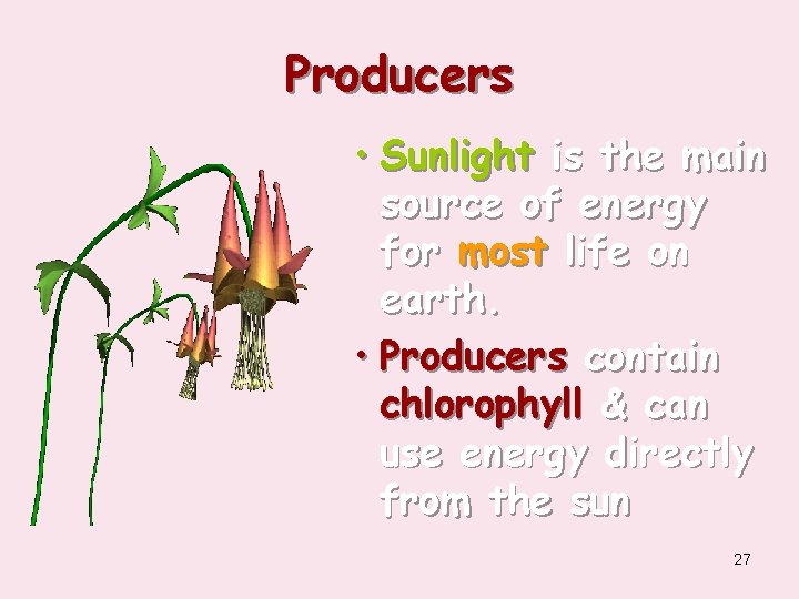 Producers • Sunlight is the main source of energy for most life on earth.