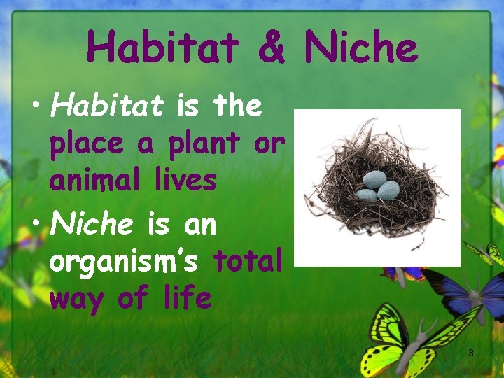 Habitat & Niche • Habitat is the place a plant or animal lives •