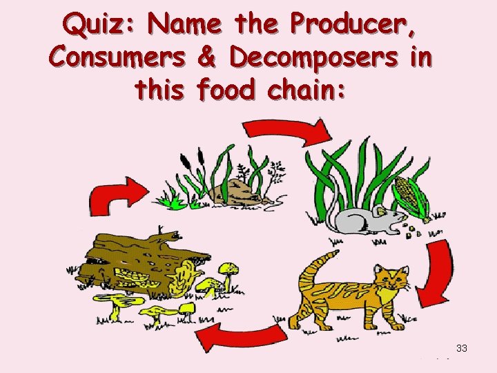 Quiz: Name the Producer, Consumers & Decomposers in this food chain: 33 