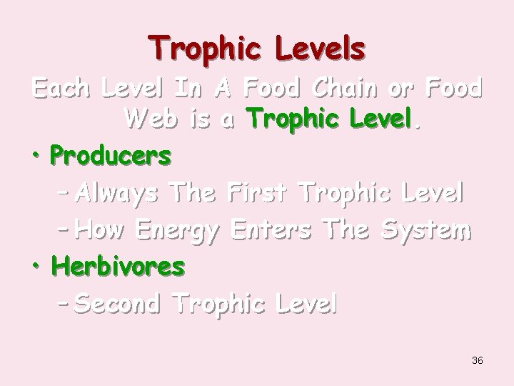 Trophic Levels Each Level In A Food Chain or Food Web is a Trophic