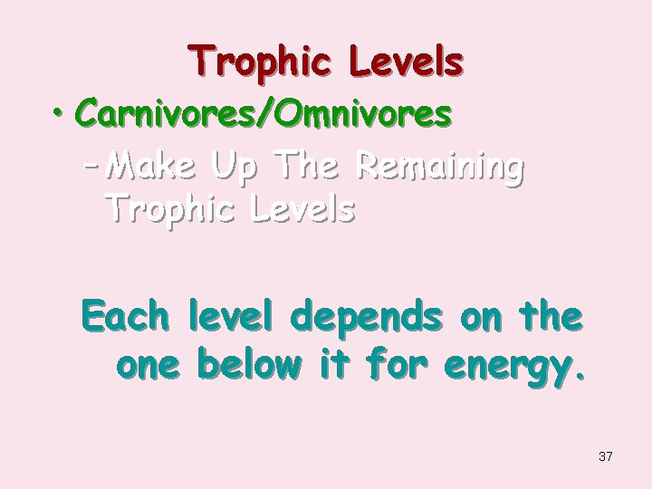 Trophic Levels • Carnivores/Omnivores – Make Up The Remaining Trophic Levels Each level depends