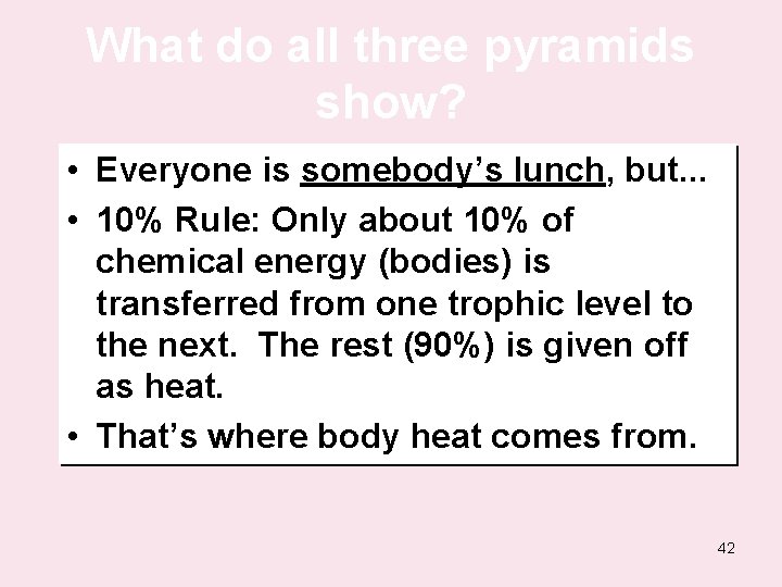 What do all three pyramids show? • Everyone is somebody’s lunch, but. . .