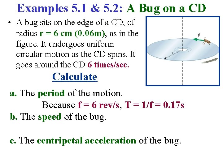 Examples 5. 1 & 5. 2: A Bug on a CD • A bug