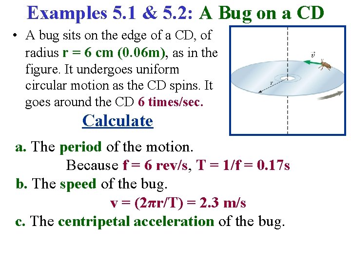 Examples 5. 1 & 5. 2: A Bug on a CD • A bug