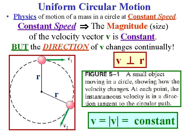 Uniform Circular Motion • Physics of motion of a mass in a circle at