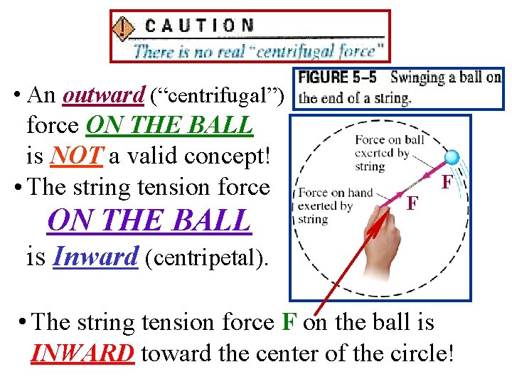  • An outward (“centrifugal”) force ON THE BALL is NOT a valid concept!