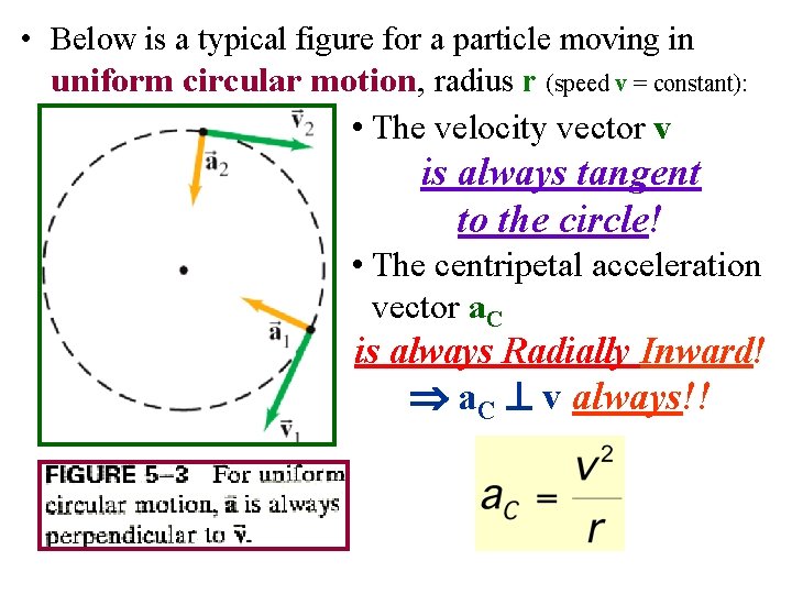  • Below is a typical figure for a particle moving in uniform circular