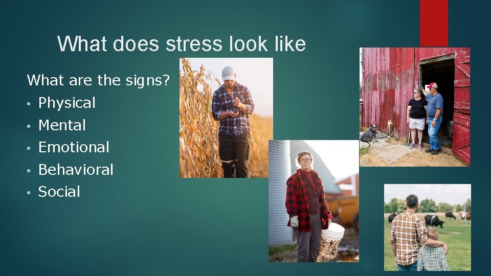 What does stress look like What are the signs? • Physical • Mental •