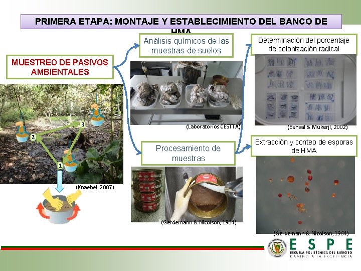 PRIMERA ETAPA: MONTAJE Y ESTABLECIMIENTO DEL BANCO DE HMA Análisis químicos de las muestras