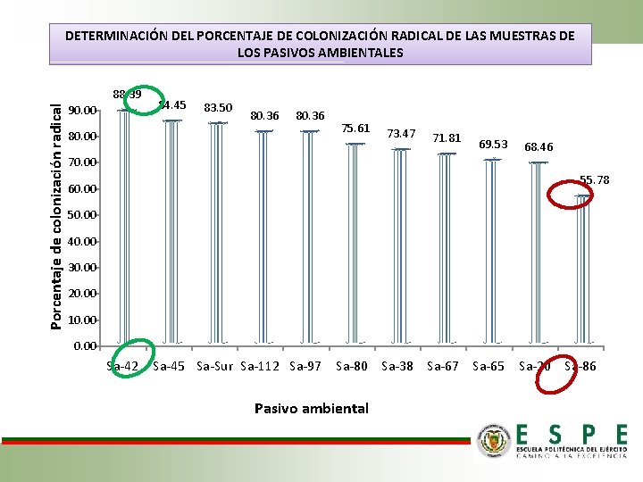 DETERMINACIÓN DEL PORCENTAJE DE COLONIZACIÓN RADICAL DE LAS MUESTRAS DE LOS PASIVOS AMBIENTALES Porcentaje