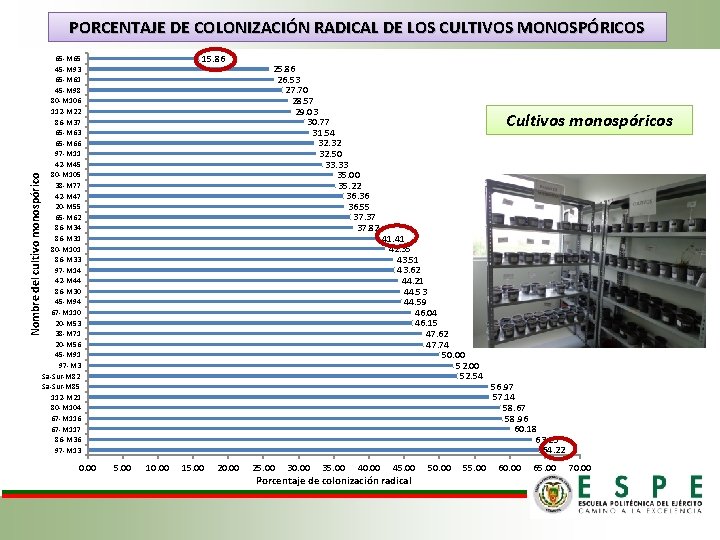 Nombre del cultivo monospórico PORCENTAJE DE COLONIZACIÓN RADICAL DE LOS CULTIVOS MONOSPÓRICOS 15. 86