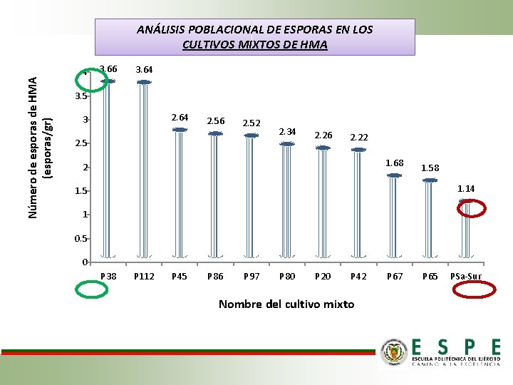 Número de esporas de HMA (esporas/gr) ANÁLISIS POBLACIONAL DE ESPORAS EN LOS CULTIVOS MIXTOS