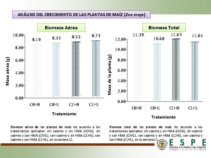 ANÁLISIS DEL CRECIMIENTO DE LAS PLANTAS DE MAÍZ (Zea mays) Biomasa Aérea 10. 00